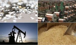 Son gelişmeler Türkiye ekonomisini nasıl etkileyecek? TCMB eski başekonomisti Hakan Kara değerlendirdi