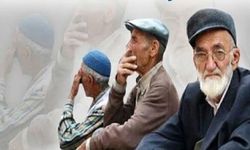 Kadınlar, erkeklere göre daha dayanıklı! 1.8 milyon yalnız yaşayan her 4 yaşlıdan 3'ü kadın