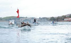 Yerel balıklar Foça’da yeniden keşfedildi!