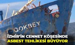 İzmir'in cennet köşesi Demircili'de tehlike büyüyor!