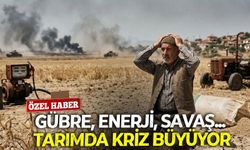 Gübre, enerji, savaş... Tarımda kriz büyüyor
