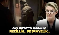 Levent Gültekin: Rezillik... Pespayelik... CHP Kadın Kolları Başkanı Asu Kaya sen neyin yanındasın?