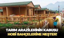 Tarım arazilerini kabusu haline gelen hobi bahçeleri için düğmeye basıldı! Cezalar can yakacak