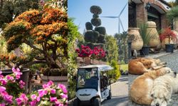 İzmir'de fotoğraf tutkunlarının vazgeçilmez adresi oldu: Yeşilin bin bir çeşidi mevcut