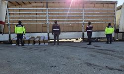 İzmir'de kaçakçılara geçit yok! Tırın içinden adeta servet çıktı