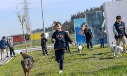 İzmir'de 'Patili' seferberlik: 2 Bin 300 can sıcak bir yuva bekliyor!