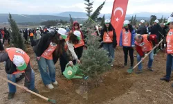 Yangının izleri siliniyor: İzmir’de dev ağaçlandırma hamlesi