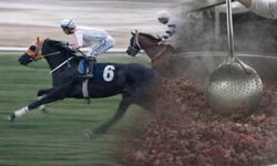 Kavurma yapılan atla ilgili flaş gelişme! 132 bin 108 TL ceza kesildi!