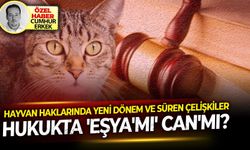 Hayvan haklarında yeni dönem ve süren çelişkiler.. Hukukta 'eşya'mı'can'mı?