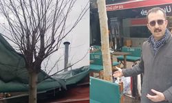 Kemeraltı'nda ağaç türü krizi mutlu sonla bitti! Muhtar Yıldırım'dan teşekkür!