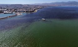 Körfezdeki kirlilik için yeni adım!  24 saat kamera sistemi ile takip edilecek