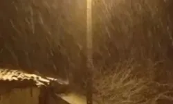 Tavşanlı’da mart sürprizi: Yüksek kesimler karla beyaza büründü!