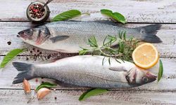 Mart ayında hangi balıklar yenir? İşte mevsiminde olan en lezzetli balıklar!