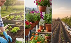 Mart ayında ne ekilir 2026? Bahçeye, saksıya ve tarlaya ekilecek sebze ve meyveler