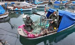 Maviliklere olta atıldı! Foça Yerel Balık Festivali coşkuyla başladı