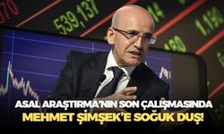 Asal Araştırma seçmene ekonomiyi sordu: Sonuç, Mehmet Şimşek yönetimi sınıfta kaldı!