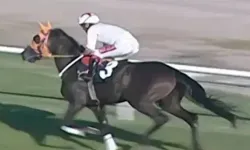 Mersin'de kavurma yapılan şampiyon at İngiliz basınının da gündeminde!