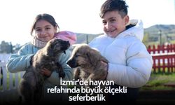 İzmir’de hayvan refahında büyük ölçekli seferberlik: Rakamlar dikkat çekti