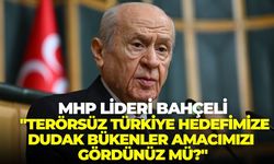 MHP lideri Bahçeli: "Terörsüz Türkiye hedefimize dudak bükenler amacımızı gördünüz mü?"