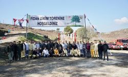 Milas’ta yanan ormanlar yeniden yeşeriyor: Binlerce fidan toprakla buluştu