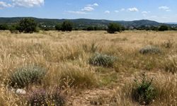 Sık sık itiraz konusu olan Urla'daki imar planında gelişme!  Revize edildi, askıya çıktı!