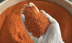 Savaş senaryosu tartışılırken ortaya çıktı: Türkiye’de bu gıda altın değerine ulaşabilir