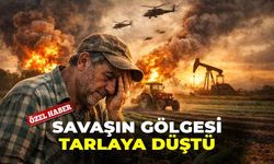 Savaşın gölgesi tarlaya düştü: Çiftçi alarm veriyor!