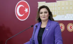 CHP’li Sevda Erdan Kılıç’tan İsmail Arı gözaltısına tepki!