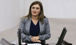 CHP'li Sevda Erdan Kılıç: "İzmir'in doğası rant rezervi değildir!"