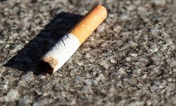 Sigara izmaritindeki DNA cinayeti aydınlattı!