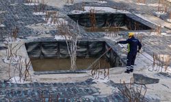 Sokakları saran o kanatlılar hakkında bilinmeyen gerçek: İzmir Büyükşehir açıkladı!