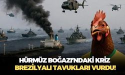Hürmüz Boğazı'nda yaşanan kaos Brezilya'nın tavuklarını vurdu! Alternatif rota olarak Türkiye'nin adı öne çıktı