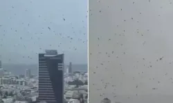 Tel Aviv semalarında kargaların toplu uçuşu olay yarattı: “Apokaliptik işaret” iddiaları