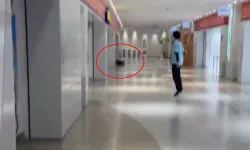 Alışveriş merkezinde dehşet: Kasaya yönelen saldırı 2 can aldı!