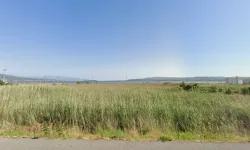 CHP Urla’dan koruma alanı planına 'yapılaşma' tepkisi