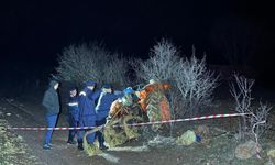 Banaz’da cinayet soruşturması: Kardeşlerden biri tutuklandı