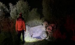 Kontrolden çıkan araç zeytinliğe savruldu: Sürücüye 50 bin lira ceza, ehliyetine 2 yıl 2 ay el konuldu!