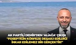 AK Partili Demir'den 'Aliağa' çıkışı: "Foseptiğin körfeze deşarj edildiği inkar edilemez bir gerçektir!"