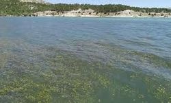 İzmir'in en sıcak ilçesi hangisi: İşte şaşırtan sıralama