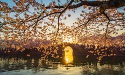 Karşıyaka’dan dünyaya uzanan sanat köprüsü! Kazananlar belli oldu