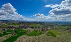 Hobi bahçeleri ve tarlaya yapılan evler yıkılacak mı? Yeni karar alındı