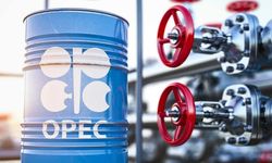 Birleşik Arap Emirlikleri OPEC'ten neden ayrılıyor? OPEC nedir?