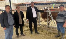 Süt üretimi çıkmaza girdi! Ahırların kapısına her an kilit vurulabilir