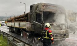 Aydın-İzmir Otoyolu’nda korkutan yangın: Tomruk yüklü tır küle döndü