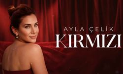 Ayla Çelik kimdir, aslen nereli? Ayla Çelik'in eşi ya da sevgilisi kim?