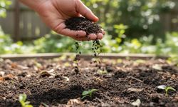 Bahçesi olanlar dikkat: Türklerin en yaygın atığı, en değerli gübreye dönüştü