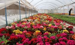 Çiçeğin başkenti Bayındır kadraja girdi!