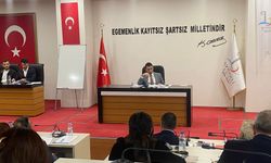 Bayraklı Meclisi'nde komisyon mesaisi tamam!  Hangi meclis üyesi nereye seçildi?