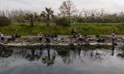 Belediye ekipleri deniz marullarını temizliyor ama... Bilim insanlarından umutsuz açıklama