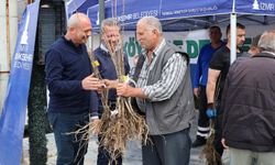 Beydağ’da yerel kalkınma hamlesi! İpek ve kestane üretimi koruma altında
